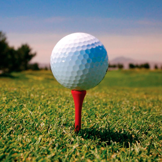 Promotional Shooter Golf Tees Feature